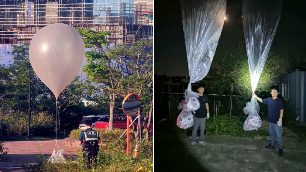 寄生蟲攻擊！北韓飄南韓氣球驚藏多種寄生蟲 還有不尋常布碎 垃圾也經「精挑細選」