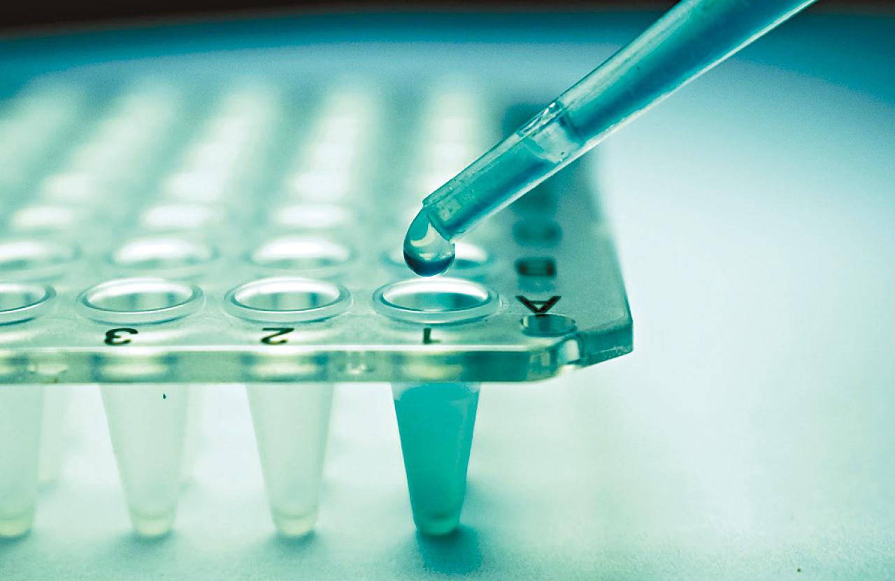 港大幹細胞平台 6日仿衰老過程