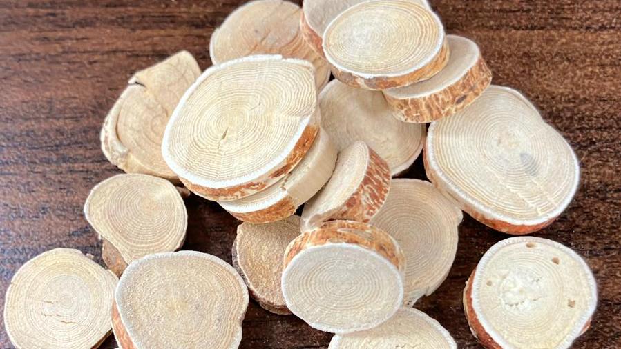 五指毛桃蓮子百合湯  清補脾腎