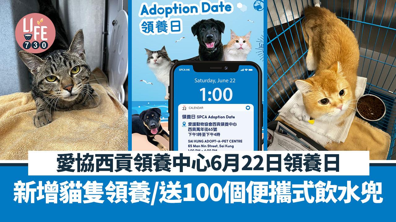 愛協西貢領養中心6月22日領養日 新增貓隻領養/送100個便攜式飲水兜