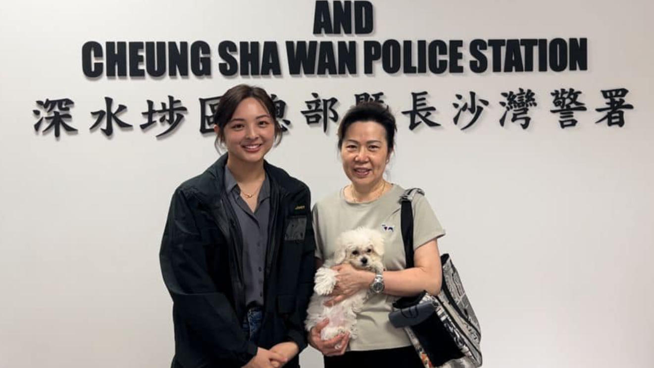 深水埗警區指經檢查後，證實該比熊犬健康良好，並已交還報案人。(深水埗警區fb)