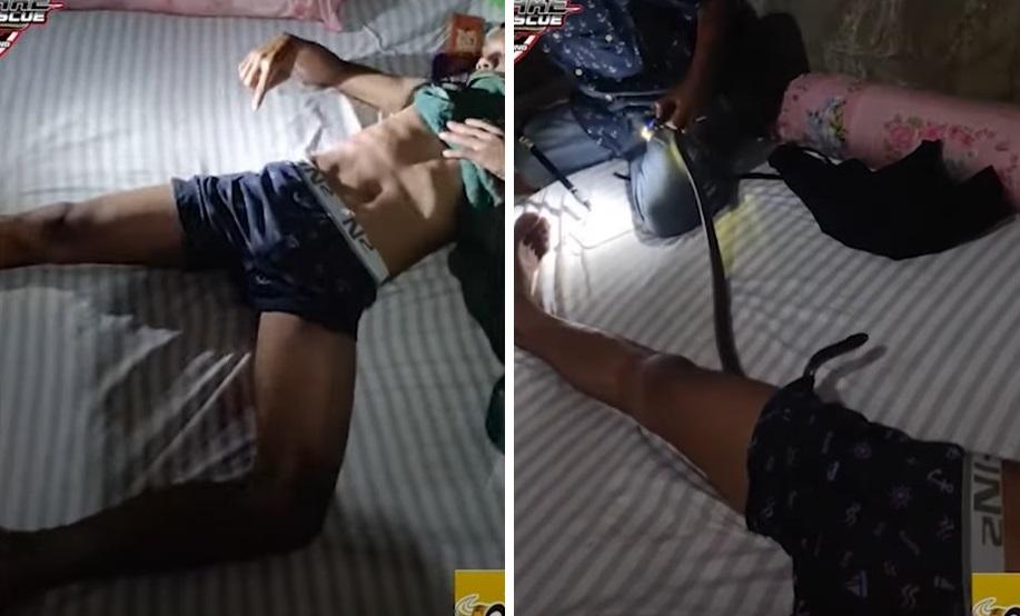 男子睡覺時，一條眼鏡蛇鑽進其褲浪，專家接報到場捉蛇。(互聯網)