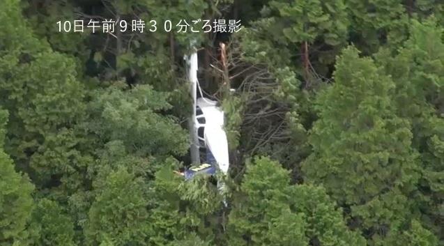 小型飛機掛在樹上。(互聯網)