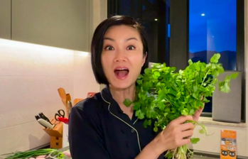 方健儀插旗英國日本物業　幾千萬市值預計數年後退休