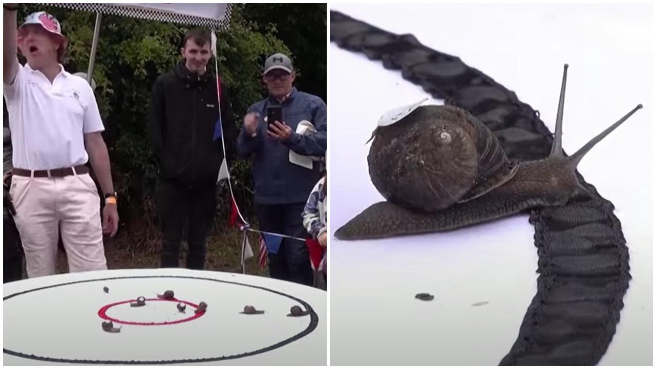 蝸牛運動會跑道僅34厘米，冠軍跑出呢個時間。(YouTube)