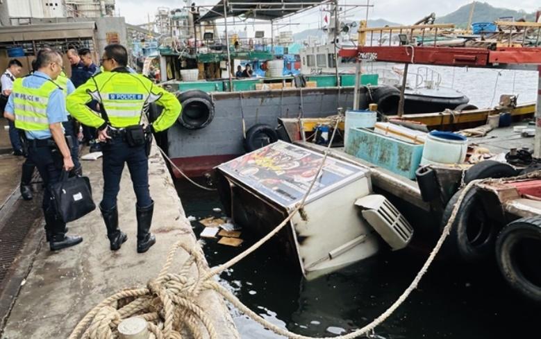 油塘連人帶貨車墮海，司機自行上岸頭暈送院。(網上圖片)