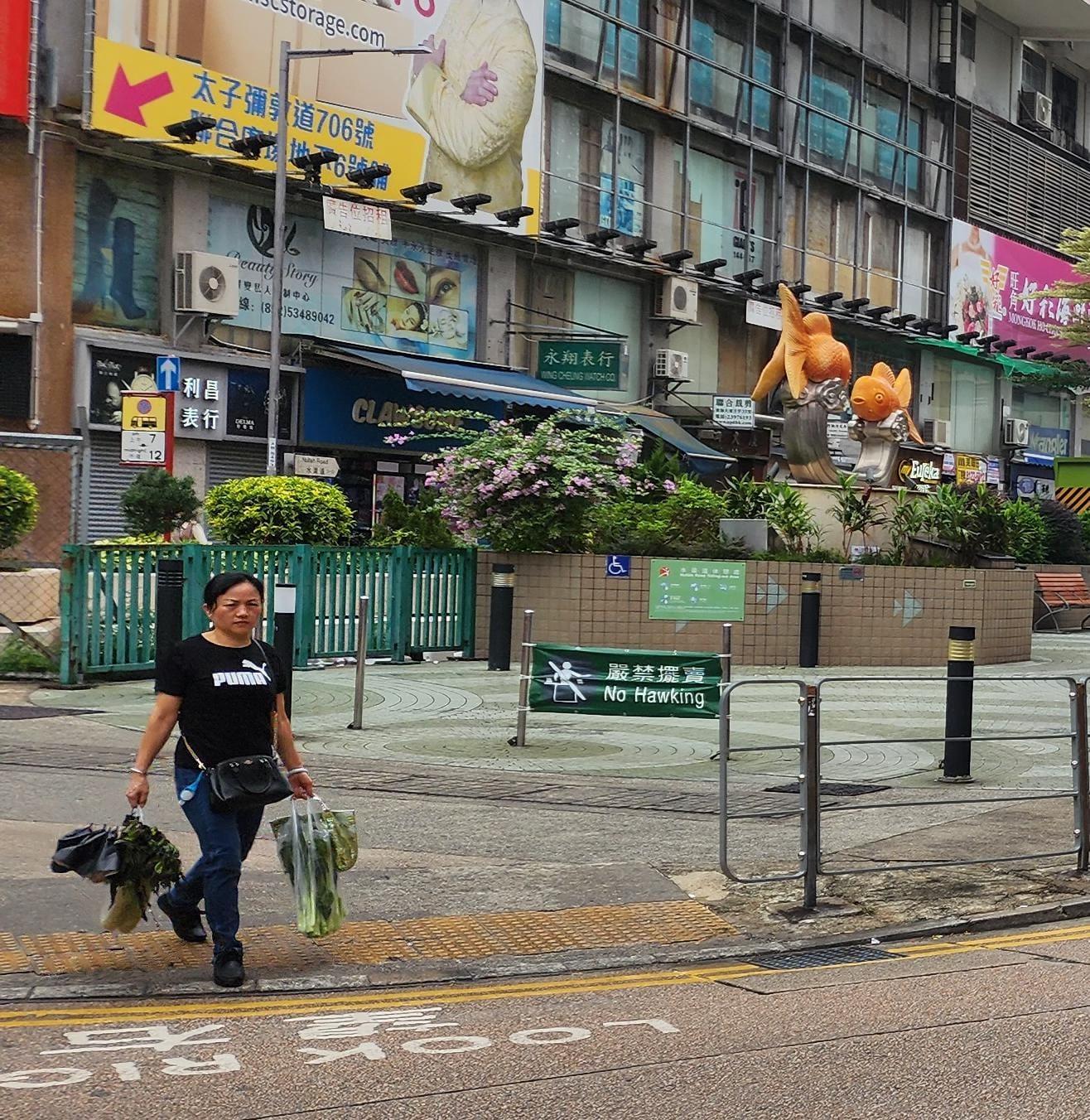 太子水渠道休憩處旁的小巷成為鼠患溫床（油尖旺區議員黃建新提供）
