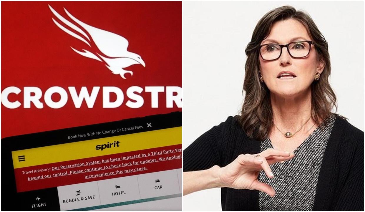 CrowdStrike/Cathie Wood「女股神」木頭姐