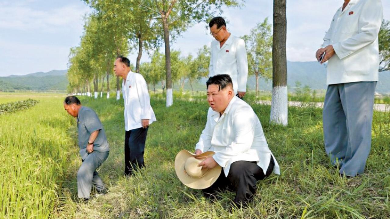 疑肥料短缺 北韓傳向平民徵糞 每人10公斤