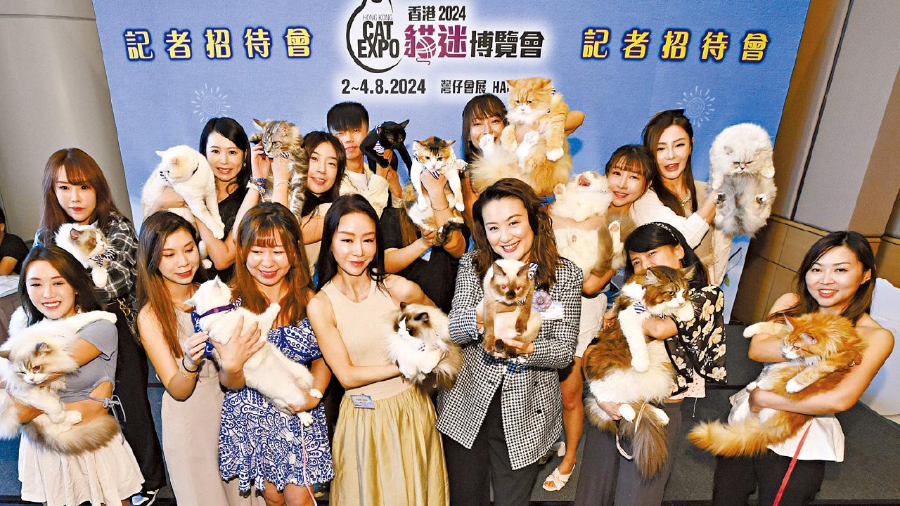 調查︰養貓月花$1889 按年升26% 六成人養兩隻或以上