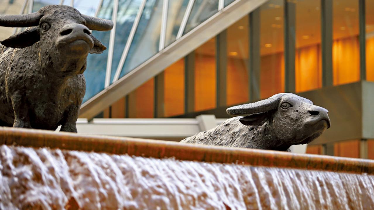 錯誤的期權觀念