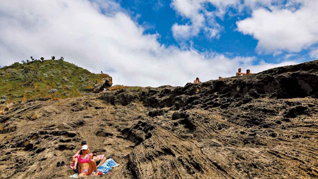 強美元旅遊熱 歐豬變金豬？