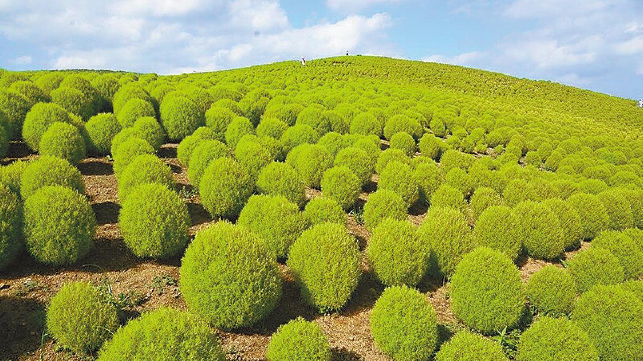 又是時候要「回鄉探親」！ 食玩假期推四大日本團低至6599！