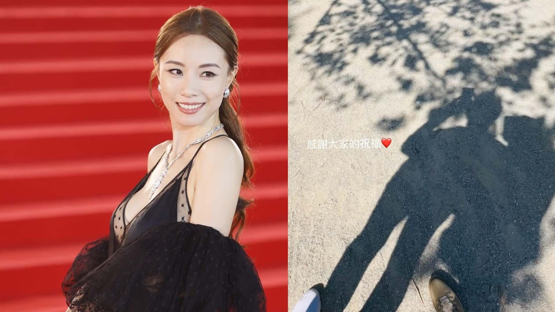 鄧麗欣晒合照認愛 與翻版Rain買餸被斷正