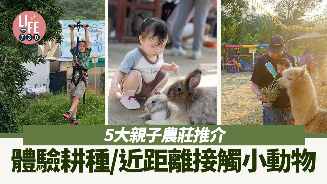 親子好去處2024｜5大親子農莊推介 體驗耕種/近距離接觸羊駝白兔小動物