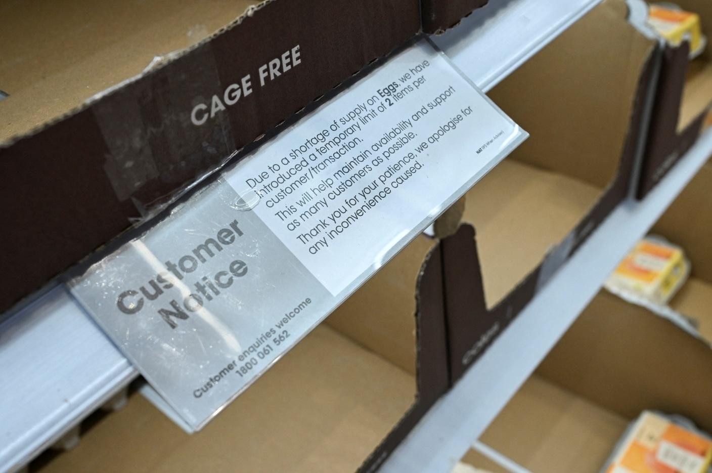 因禽流感導致雞蛋供應緊張，悉尼有超市限購雞蛋，每名顧客只限購買兩項雞蛋商品。(路透社)