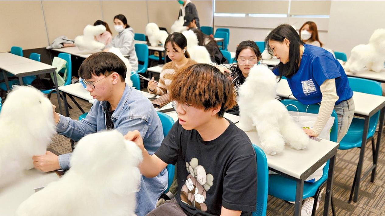 都大 LiPACE高級文憑 7大課程獲政府SSSDP資助