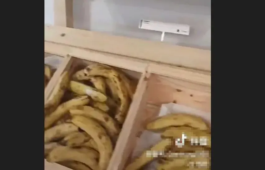 巴黎奧運村餐廳被批蕉爛包硬無肉食　川菜師傅赴法餵飽國家隊