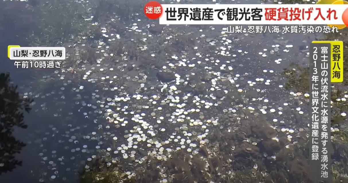 日本富士新聞網(FNN)報道，富士山忍野八海池塘堆積大量硬幣。(互聯網)