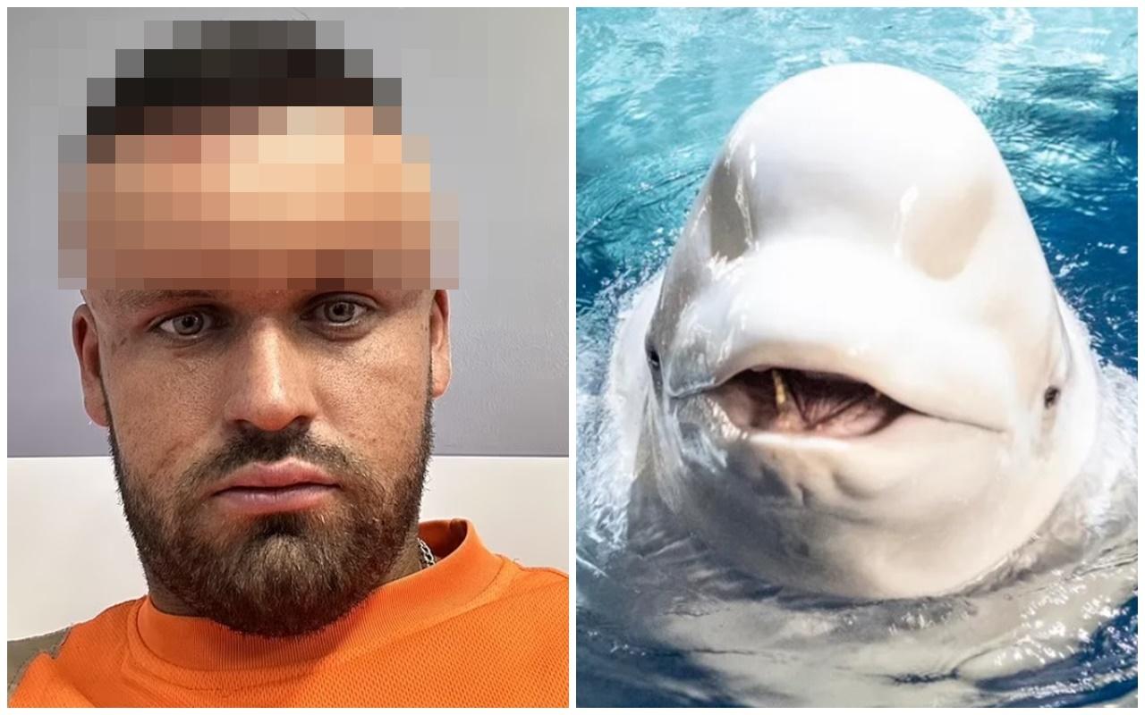 27歲英男染髮過敏，額頭腫脹如白鯨。