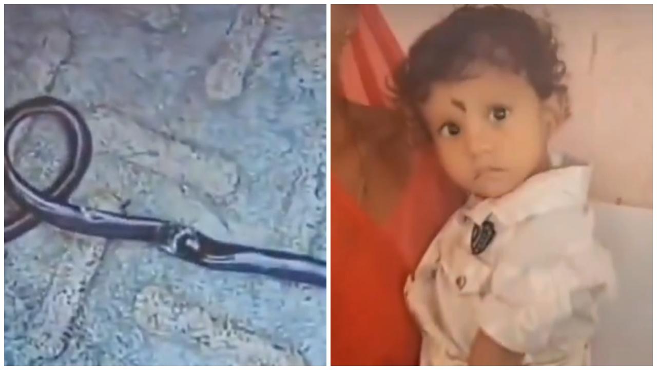 1歲男嬰將蛇當玩具，捉住放入口活活咬死。(X)