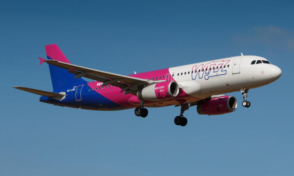 這間廉航推無限乘搭會員，每程僅需11美元。(網上圖片)