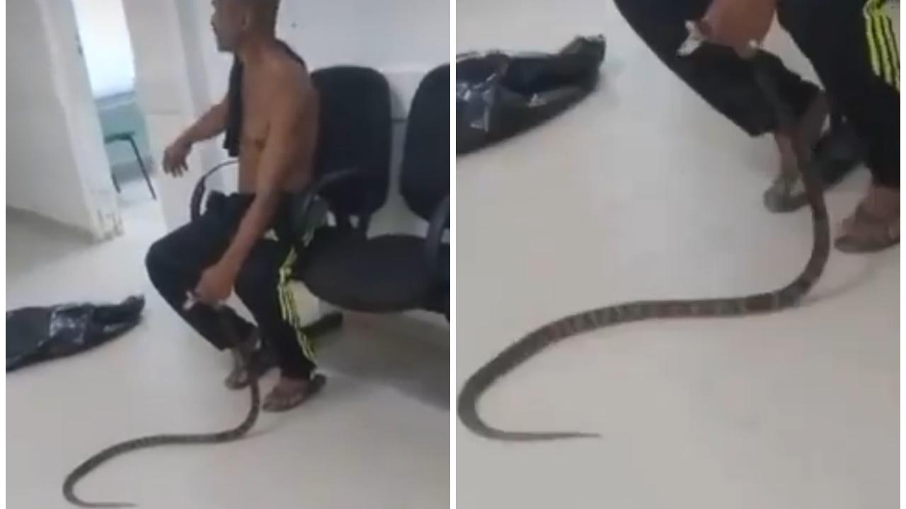 巴漢遭蛇咬認不出品種，直接捉去醫院求救。(X)