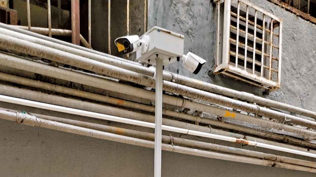 過去一年捉7.26萬隻活鼠増24% 食環署盼年底黑點數目減六成