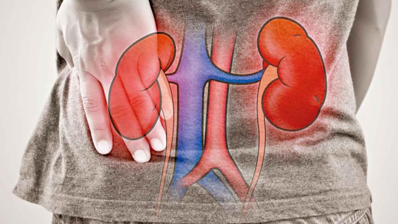 腎病及腎小球發炎