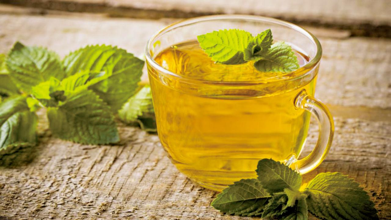 夏日炎炎好辛苦 中醫消暑有辦法！