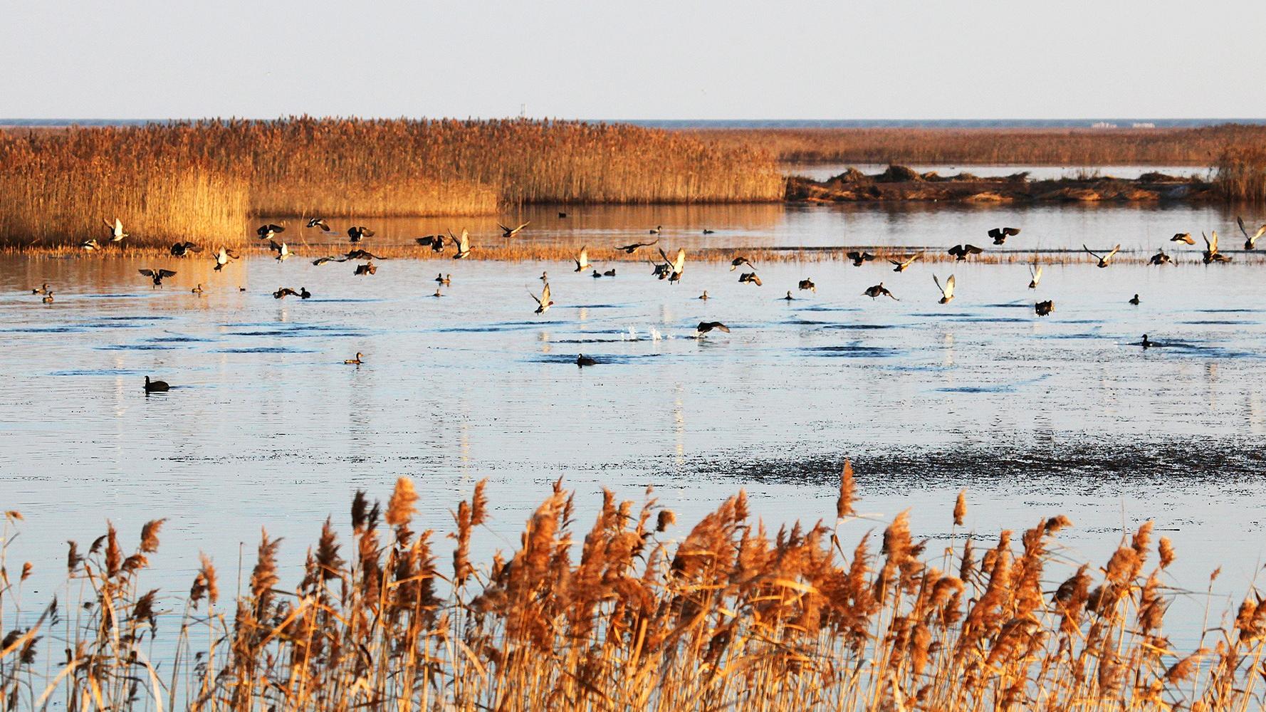 中國新增3世界遺產：沙漠千湖、候鳥天堂、北京中軸線