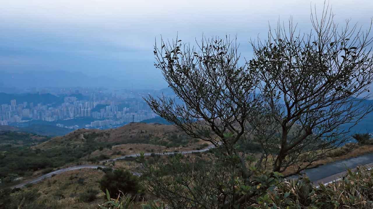 漁護署46歲職員猝死大帽山 親友今到殮房認屍