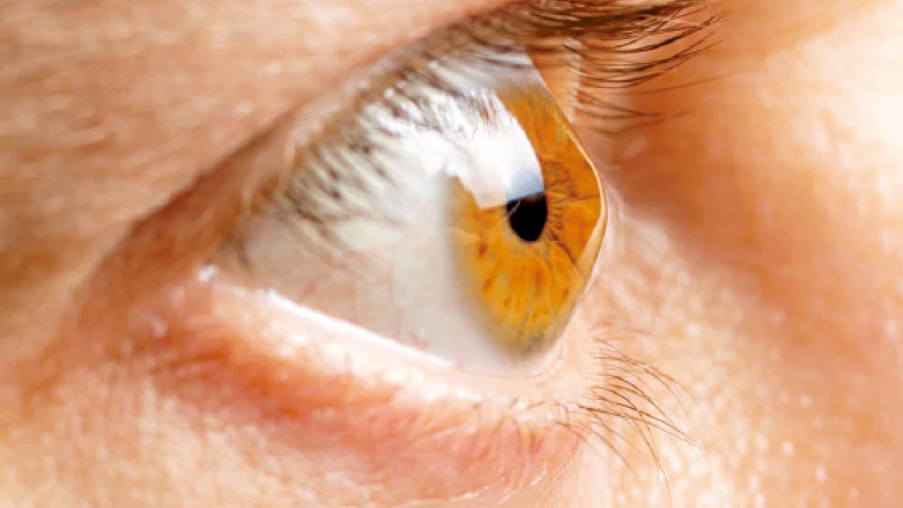 被忽略的眼睛(上)