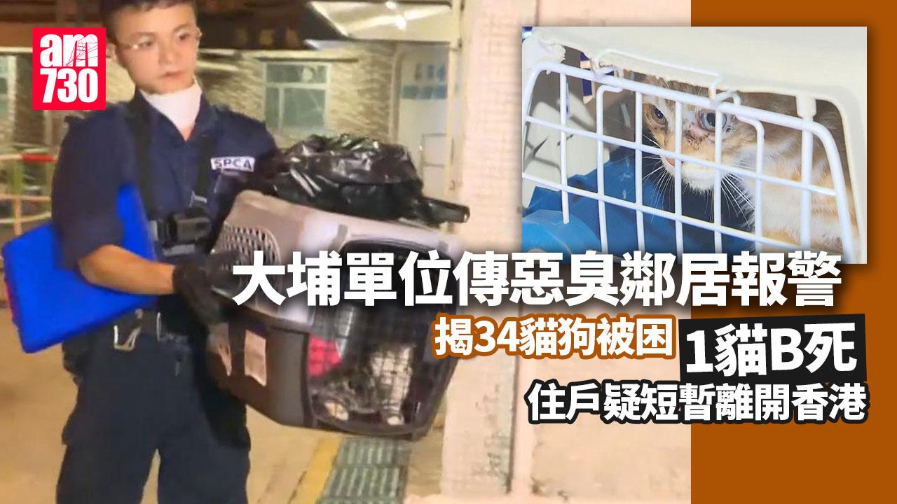 大埔富善邨單位傳惡臭驚動鄰居報警 揭34貓狗被困其中1貓B喪命