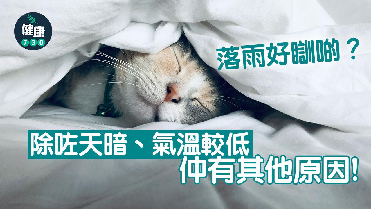 落雨｜聽住雨聲好瞓啲　原來係因為白噪音/負氧離子/褪黑色素（am730製圖）