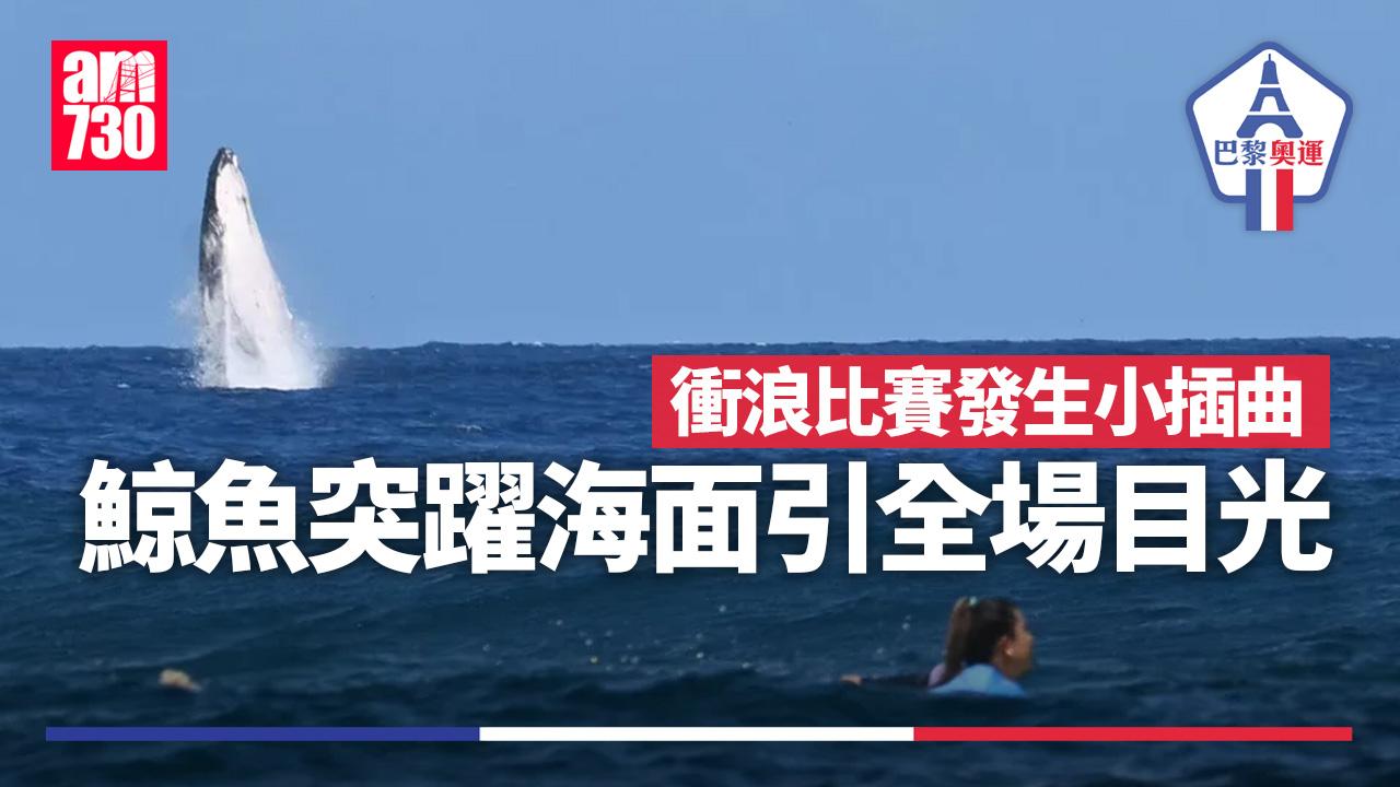 巴黎奧運｜衝浪比賽遇特別嘉賓　鯨魚躍出大溪地海面引目光 有圖