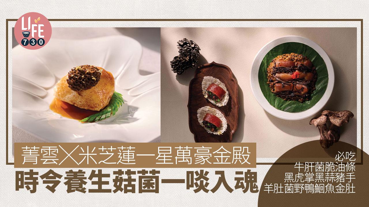 菁雲╳米芝蓮一星萬豪金殿 時令養生菇菌一啖入魂 必吃羊肚菌野鴨鮰魚金肚 牛肝菌脆油條 黑虎掌黑蒜豬手