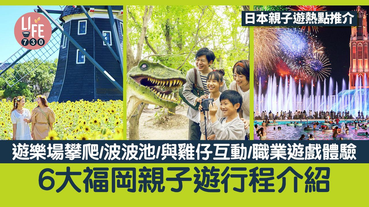 6大福岡親子遊行程介紹：遊樂場攀爬/波波池/與雞仔互動/職業遊戲體驗