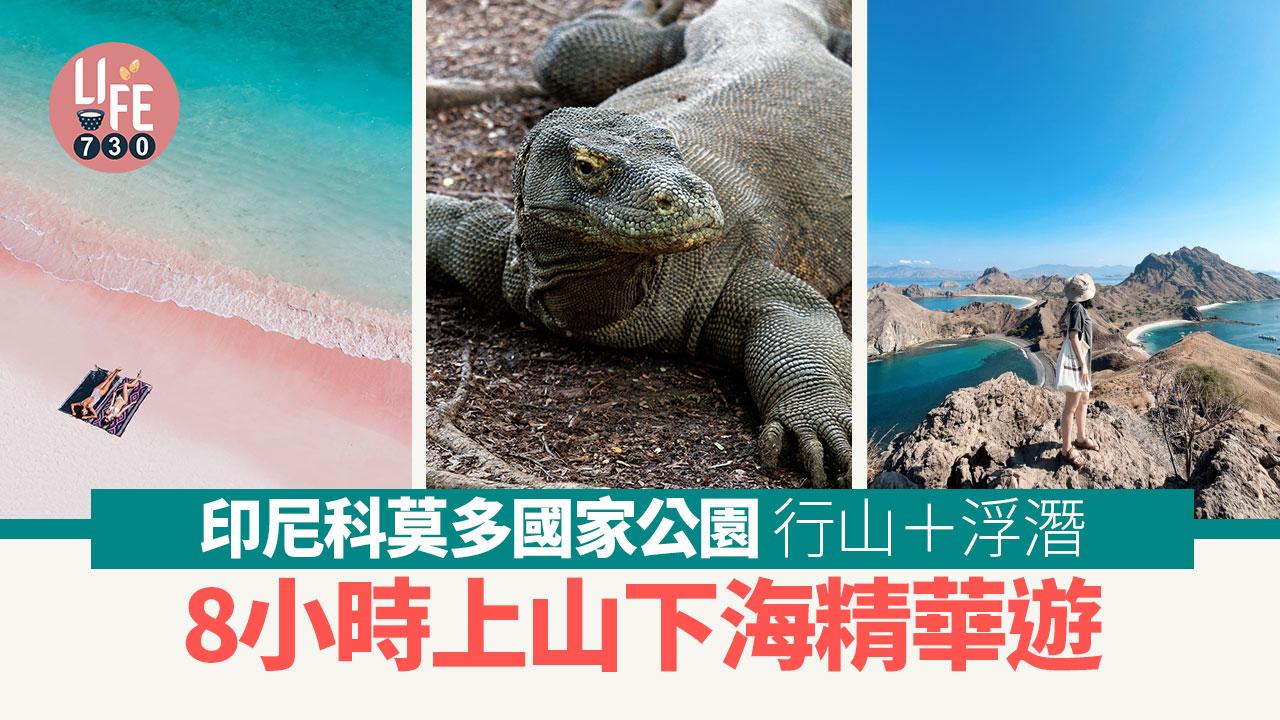 印尼深度遊｜印尼科莫多國家公園  8小時上山下海精華遊 粉紅沙灘浮潛/帕達爾島/科莫多龍