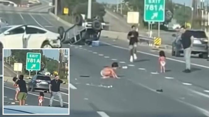 德州車禍現場，兩個萌BB趴趴走，有驚無險。(互聯網)