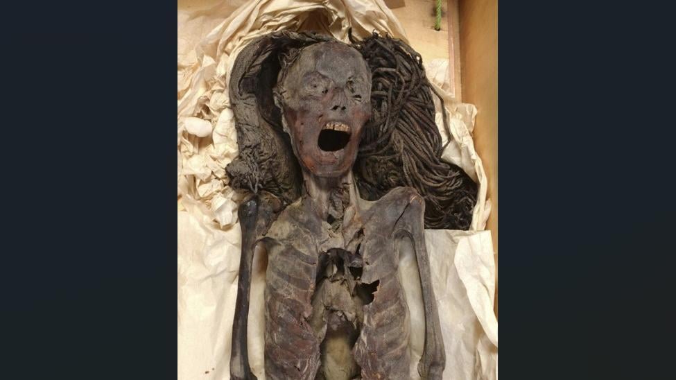 1935年在樂蜀(Luxor)附近出土的古埃及「尖叫女子」木乃伊。(路透社)