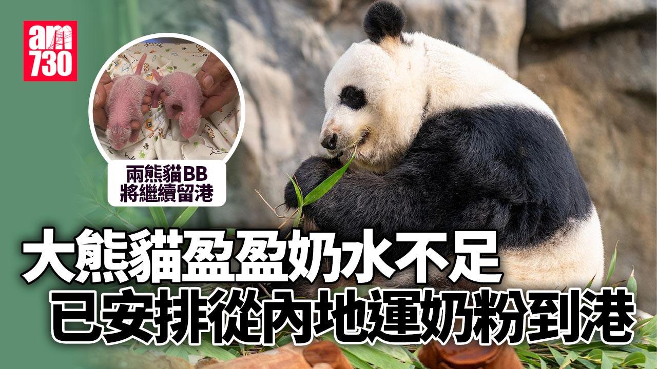 楊潤雄：龍鳳胎繼續留港 會與海洋公園商討建館