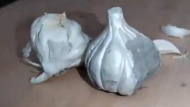 水泥蒜頭以假亂真。(互聯網)