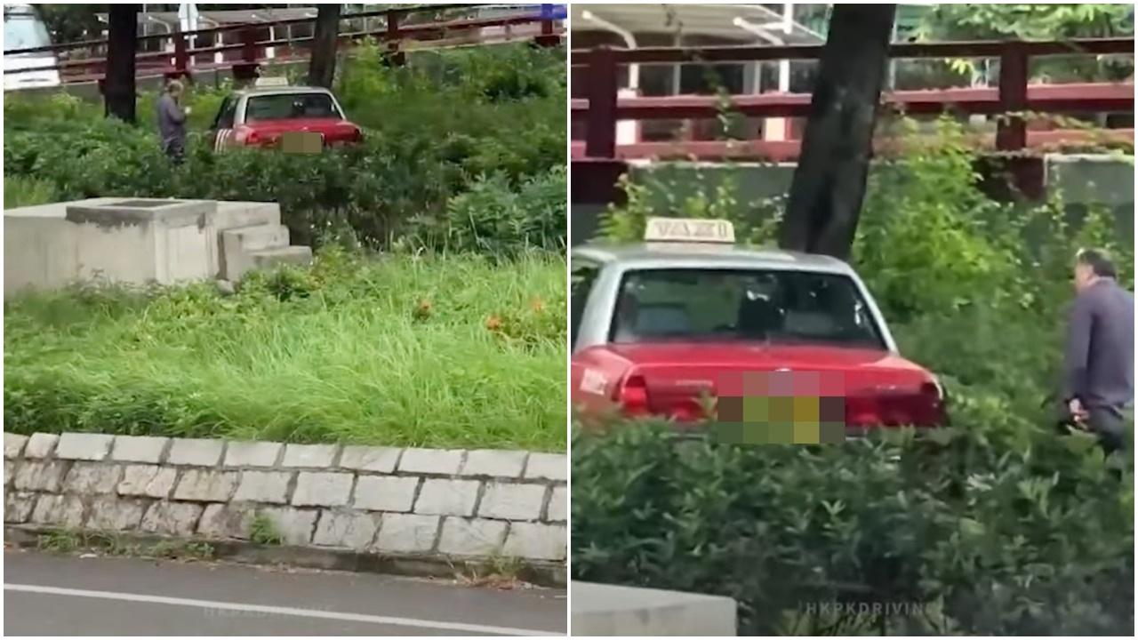 車Cam直擊｜的士剷草叢