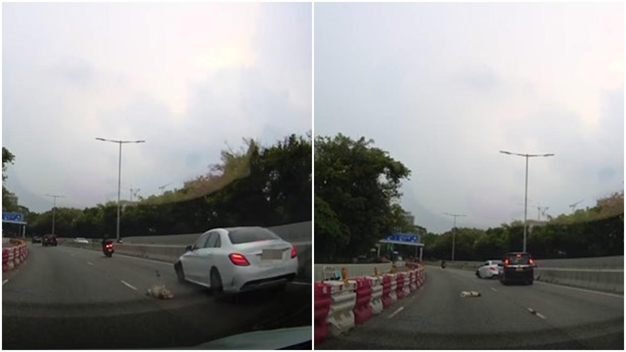 車Cam直擊｜元朗朗天路撞狗車禍