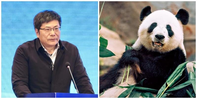 中國旅遊研究院院長戴斌認為，香港發展大熊貓經濟作用有限。(資料圖片)