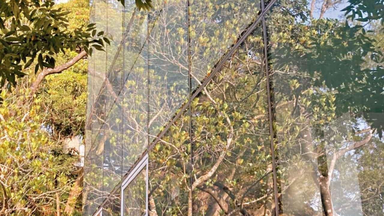 防鳥撞玻璃不宜立法