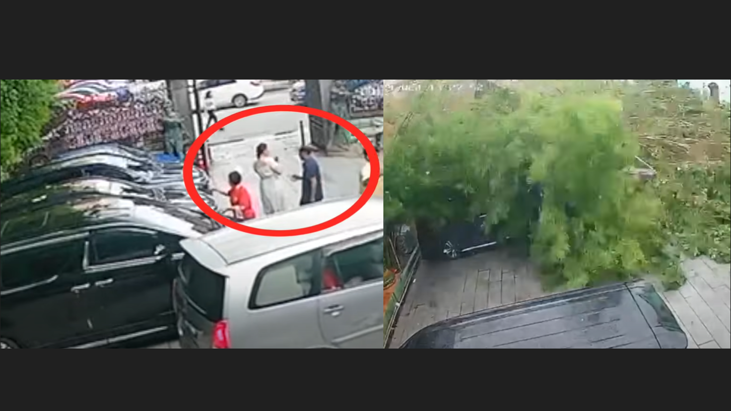 檳城怪風吹榻大樹壓死中國父女 家人誓控無牌司機(有片)