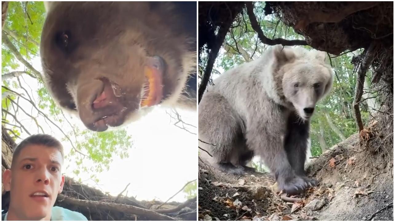 百萬網紅為流量闖熊洞，遭棕熊擋出路玩命畫面曝光。(IG)