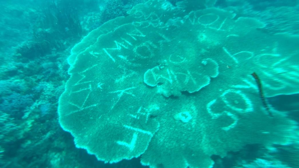 菲律賓珊瑚礁大片疑被塗鴉寫「韓國名字」，當局懸紅緝兇。(FB)